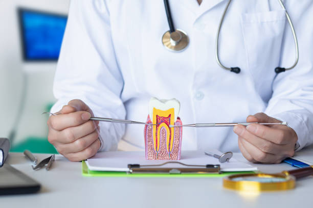 Best Emergency Treatment for Dental Infections or Abscesses in Wantagh, NY